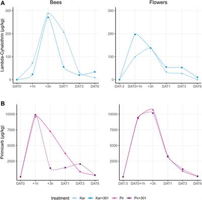 A selected organosilicone spray adjuvant does not enhance lethal effects of a pyrethroid and carbamate insecticide on honey bees